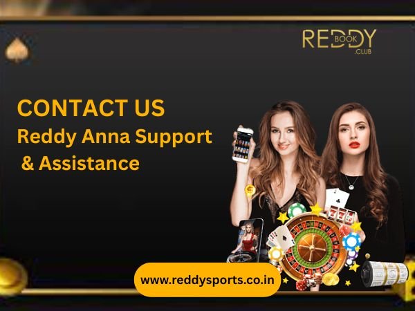 Contact Us – Reddy Anna Support & Assistance