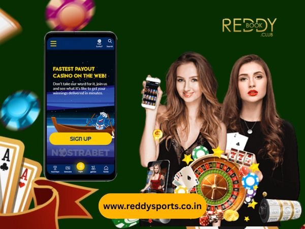 Reddy Anna Signup: Securely Access Your Online Betting Account