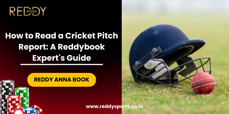 How to Read a Cricket Pitch Report A Reddybook Expert Guide