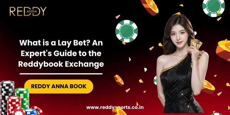 What is a Lay Bet An Expert Guide to the Reddybook Exchange