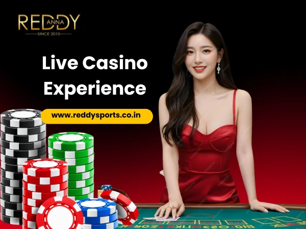 Live Casino Experience (1)