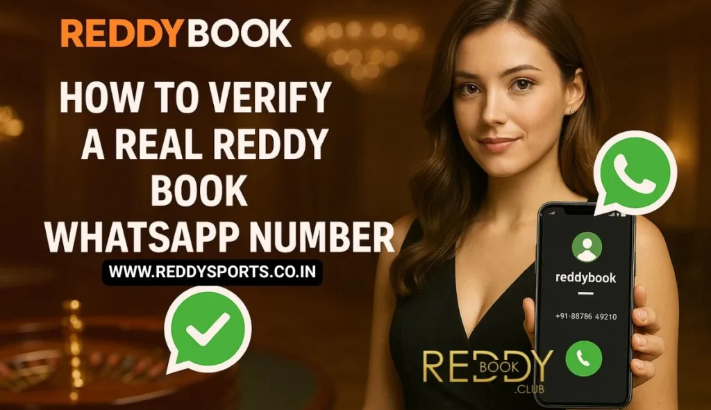 How to Verify a Real Reddy Book WhatsApp Number
