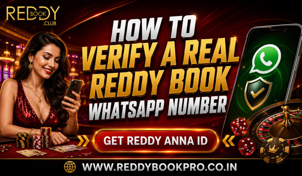 How to Verify a Real Reddy Book WhatsApp Number