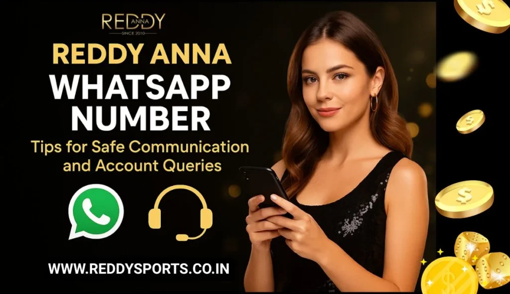 Reddy Anna WhatsApp Number Tips